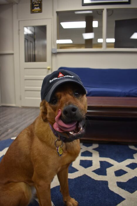 Maia — Chief Morale Officer at Michael Renzi Painting Co.