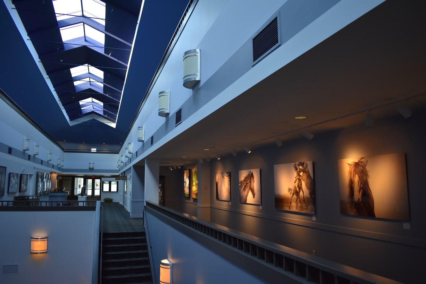 The Museum